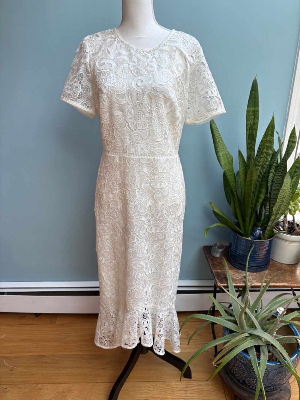 NWT Shoshana White Lace Dress. Size 10